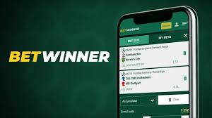 How to Withdraw Winnings from BetWinner A Complete Guide