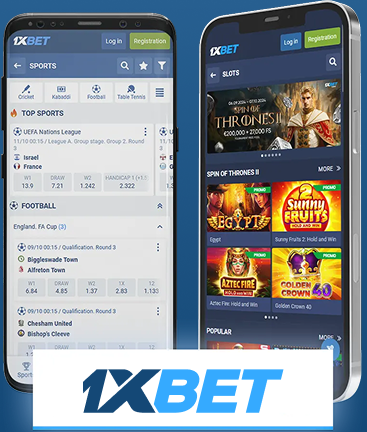 The Rise of Sports Betting Trends, Strategies, and Insights